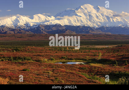 Gli Stati Uniti, Alaska, Zentralalaska, Denali National Park, il Monte Mc Kinley in Alaska, di rango, autunno Foto Stock