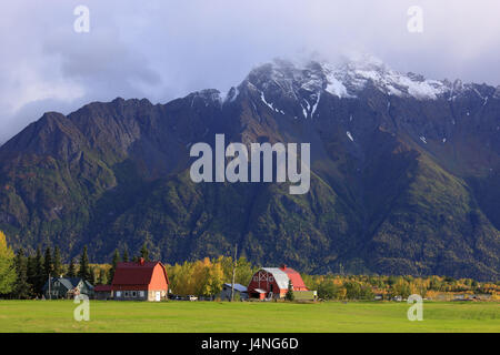 Gli Stati Uniti, Südalaska, Matanuska Valley, case coloniche, autunno Foto Stock