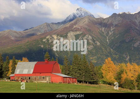 Gli Stati Uniti, Südalaska, Matanuska Valley, agriturismo, autunno Foto Stock