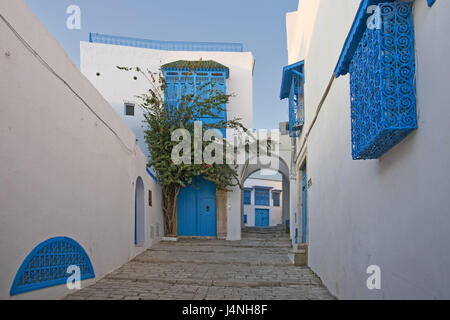 La Tunisia, Sidi Bou Said, lane, facciate di case, Nord Africa, luogo dell'artista, villaggio posto turistico, destinazione, luogo di interesse, turismo, street, case, facciate, porte, finestre, gate, archway, blu, bianco, nessuno, deserte, Foto Stock