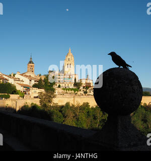 Una vista della Catedral Cattedrale Santa Maria Segovia con la luna e il profilo di uccello permanente silhouette in primo piano, Spagna Foto Stock