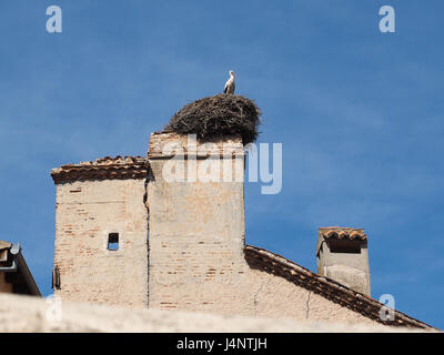 Un profilo della levetta seduta sul nido nesting in un camino sulla sommità piastrelle Piastrelle sul tetto del tetto di una casa spagnola gable in Segovia Spagna Foto Stock