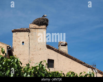 Un profilo della levetta seduta sul nido nesting in un camino sulla sommità piastrelle Piastrelle sul tetto del tetto di una casa spagnola gable in Segovia Spagna Foto Stock