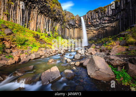Cascata Svartifoss circondata da colonne di basalto nel sud dell'Islanda Foto Stock