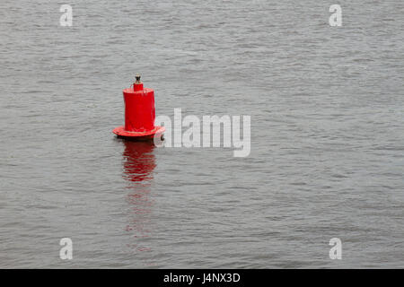 Boa rosso sulle onde Foto Stock