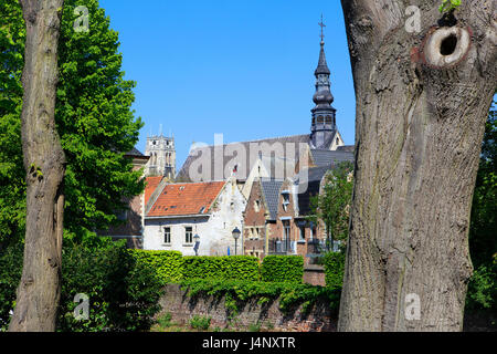 Il XIII secolo la chiesa gotica di Santa Caterina (sinistra) e il XIII secolo la basilica gotica della Madonna (destra) di Tongeren, Belgio Foto Stock