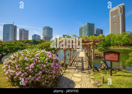 Tokyo Hamarikyu Gardens Foto Stock