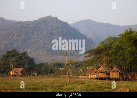 Thailandia, golden angolo superiore, Chiang può, villaggio di montagna, elefante, luce della sera, Foto Stock