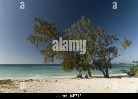 Madagascar, Antsiranana, Diego Suarez, spiaggia, alberi, turisti, nessun modello di rilascio, Foto Stock