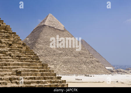 Piramidi di Giza in Egitto, al Cairo, Foto Stock