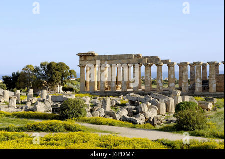 L'Italia, sicilia, Selinunte, l'Acropoli, il Tempio di Eracle, Foto Stock