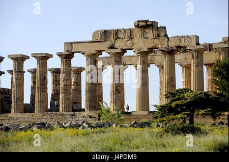 L'Italia, sicilia, Selinunte, l'Acropoli, il Tempio di Eracle, Foto Stock