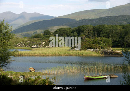 Irlanda, Munster, nella contea di Kerry, parco nazionale di Killarney, Lough Leane, Foto Stock