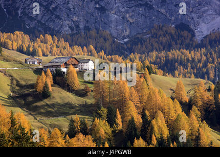 L'Italia, Alto Adige, Dolomiti, Val Badia, Wengen, riserva naturale di Fanes Alpine casaro di Praga, Foto Stock