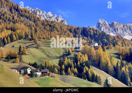 L'Italia, Alto Adige, Dolomiti, Val Badia, Wengen, riserva naturale di Fanes Alpine casaro di Praga, Foto Stock