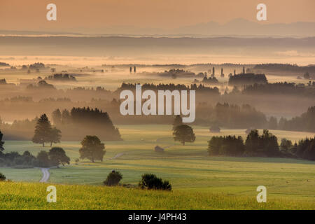 In Germania, in Baviera, Baviera superiore, del sacerdote, angolo di Wessobrunn, Voralpen bavarese, colline ai piedi delle Alpi, Foto Stock