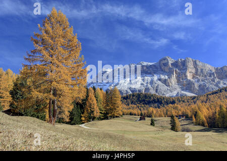 L'Italia, Alto Adige, Dolomiti, Val Badia, Heiligkreuzkofel, Foto Stock