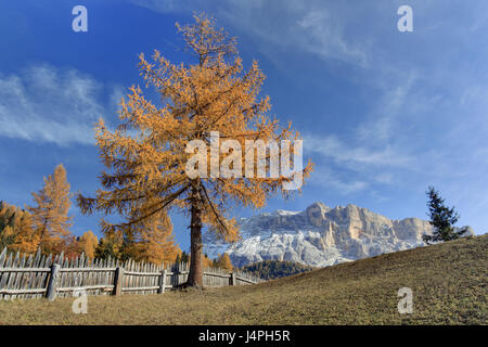 L'Italia, Alto Adige, Dolomiti, Val Badia, Heiligkreuzkofel, Foto Stock