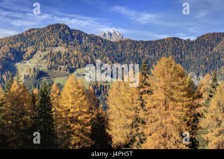 L'Italia, Alto Adige, Dolomiti, Val Badia, Sass de Putia, Foto Stock