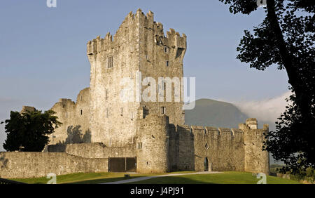 Irlanda, Munster, nella contea di Kerry, parco nazionale di Killarney, Castello di cavallo, Foto Stock