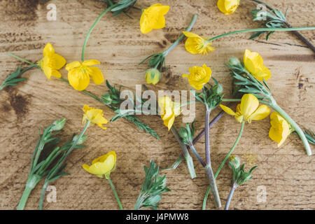 Renoncules su tavola in legno di quercia Foto Stock