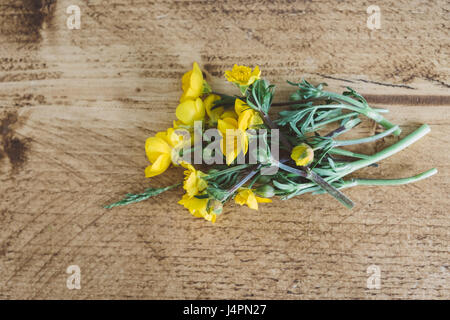 Renoncules su tavola in legno di quercia Foto Stock