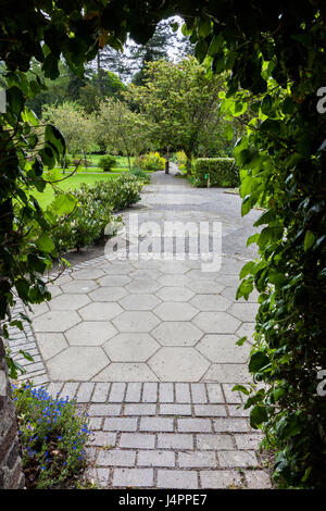 All'interno del giardino delle api a Mirehouse, Near Keswick, Lake District, Cumbria Foto Stock