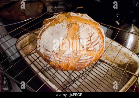 Primo piano della pasta madre casalinga pane pagnotta rotonda sulla rastrelliera in cucina con i contrassegni di punteggio Foto Stock