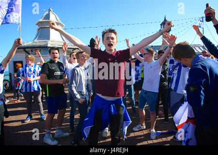 Brighton, Regno Unito. 14 Maggio, 2017. Salendo per la premier league Brighton football club festeggia con un bus parade lungo il fronte mare Credito: Rupert Rivett/Alamy Live News Foto Stock