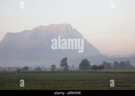 Thailandia, golden angolo superiore, Chiang può, paesaggi, montagne, campi, nebbia, Foto Stock