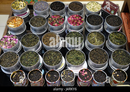 Vari tipi di tè in vasi di metallo esposto per la vendita in un Chinese tea shop a Shanghai, 29 febbraio 2016. Foto Stock