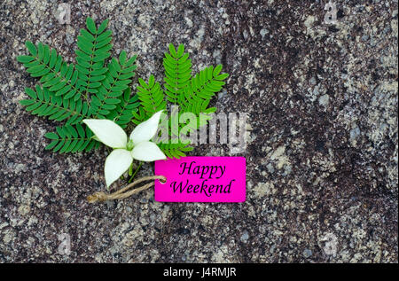Parola happy weekend scritto sul tag di legno. Foto Stock