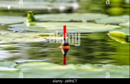 La mattina pesca sul fiume. Galleggiante di pesca nel lago tra ninfee foglie. La pesca sportiva di affrontare con un bobber Foto Stock