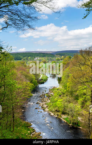 Barden Torre e fiume Wharfe dall 'hotel Astrid legno, vicino a Bolton Abbey, Yorkshire Dales National Park, North Yorkshire, Inghilterra, Regno Unito. Foto Stock