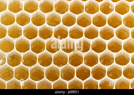 Miele di favo per uso in background Foto Stock
