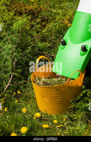 Giardino elettrico trinciatrice in un giardino di primavera Foto Stock