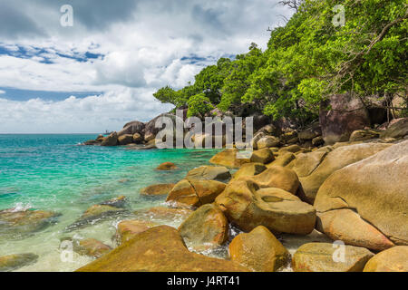 Nudey Beach sull'Isola Fitzroy, area di Cairns, Queensland, Australia, parte della Grande Barriera Corallina. Foto Stock