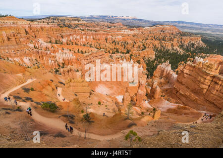 Persone che camminano giù per un sentiero tra le rocce di arenaria hoodoo pilastri in all'Anfiteatro del parco nazionale di Bryce Canyon, Utah Foto Stock