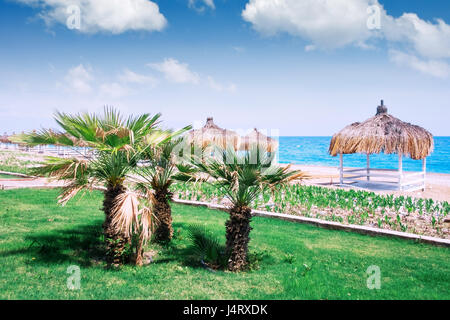 Estate mandrini sulla spiaggia. Vista mozzafiato sul mar Mediterraneo. Legno bianco summerhouses sulla giornata di sole. Cielo blu e nuvole soffici Foto Stock