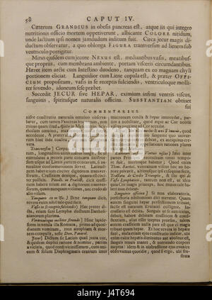"Vesling Syntagma Anatomicum" è un'opera medica che si concentra sulla struttura dell'anatomia umana. Questo libro di riferimento, scritto da Vesling, è stato un testo importante nella storia della medicina, contribuendo alla comprensione delle strutture del corpo umano. Foto Stock