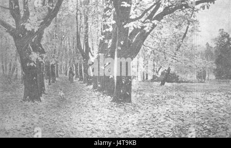 Ziemia Polska w piesni 173 grafika Foto Stock