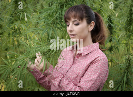 Bella giovane donna in un campo di canapa in possesso di una pianta di canapa stelo e guardando il fiore di cannabis Foto Stock