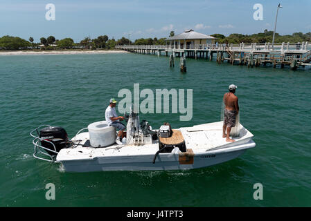 La pesca di queste esche utilizzando un cast net da una piccola barca sul Golfo del Messico in Florida USA Foto Stock