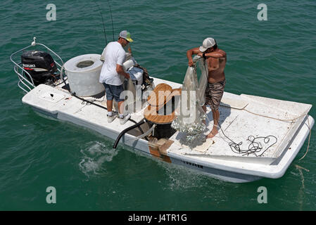 La pesca di queste esche utilizzando un cast net da una piccola barca sul Golfo del Messico in Florida USA L'uomo lo sbarco una dichiarazione delle catture di pesci di piccole dimensioni. Aprile 2017 Foto Stock