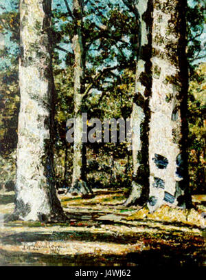 Questa immagine raffigura una vista al sole di una foresta a Zandleven, che mostra una tranquilla e naturale foresta inondata di luce solare. La foresta è densa di alberi, e la luce del sole filtra attraverso il baldacchino, creando un ambiente sereno. Foto Stock