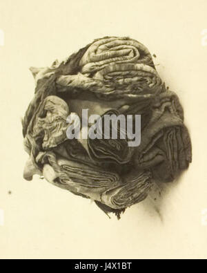 Una serie di fotografie della tomba di Tutankhamon, che mostrano manufatti chiave e oggetti sepolcrali della famosa tomba egizia scoperta nel 1922. Foto Stock