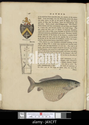 "A Tour in Wales" di Thomas Pennant è un diario di viaggio che offre un resoconto approfondito del Galles durante il XVIII secolo. Pennant fornisce descrizioni della geografia, della cultura e della società del Galles come osservate durante i suoi viaggi. Foto Stock