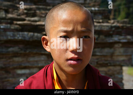 Ragazzo adolescente monaco buddista, Rinchenpung monastero, il Sikkim, India Foto Stock