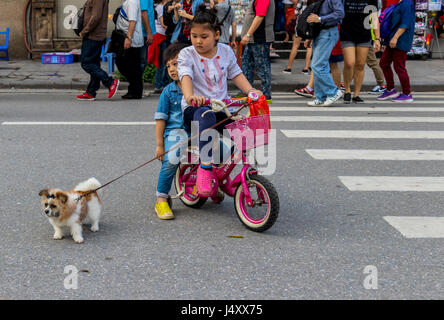 Due bambini sul ciclo con un piccolo cane Hanoi nel Vietnam del Nord Foto Stock