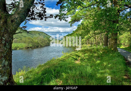 Glen Orchy. Fiume Orchy. Scozia Foto Stock